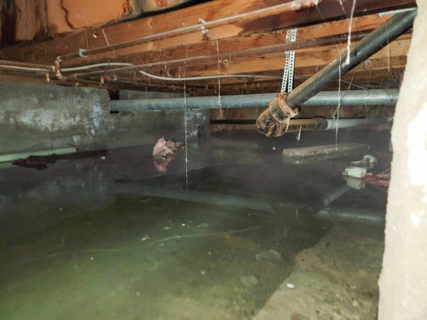Best Water damage restoration process  in Centerport, NY