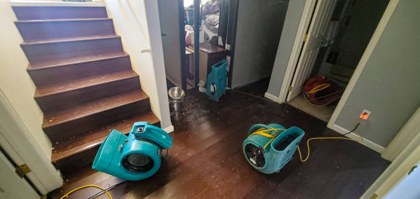 Best Water damage mitigation services  in Centerport, NY