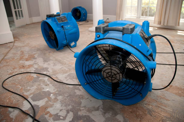 Best Water damage mitigation services  in Centerport, NY