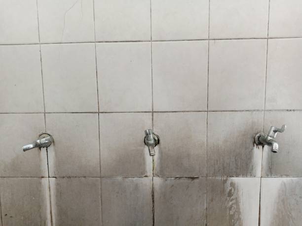 Best Flood restoration services  in Centerport, NY