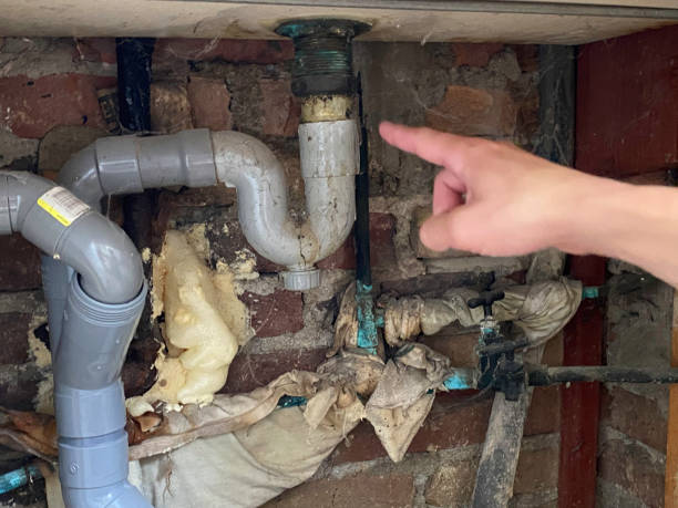 Best Mold removal after water damage  in Centerport, NY