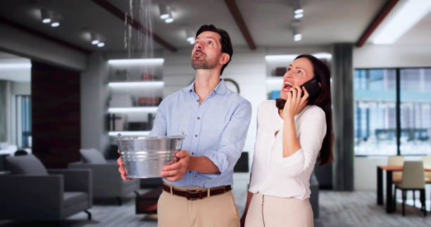 Best Sewage cleanup and water damage restoration  in Centerport, NY