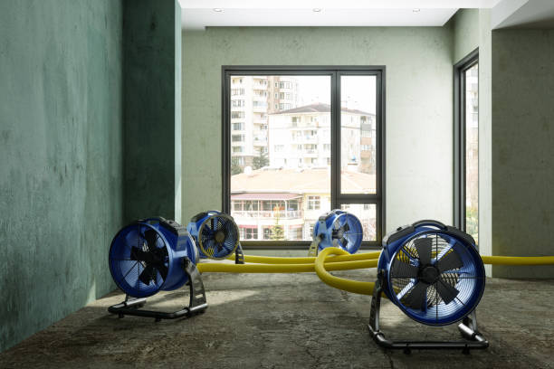Best Residential water damage restoration  in Centerport, NY